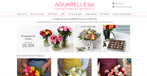 image du site Aquarelle Belgique et ses produits