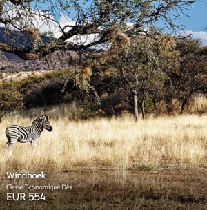 image de namibi et le prix du vol à 554€